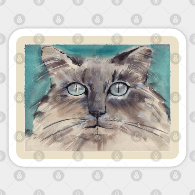 Longhair gray kitty with blue eyes Sticker by HelenDBVickers